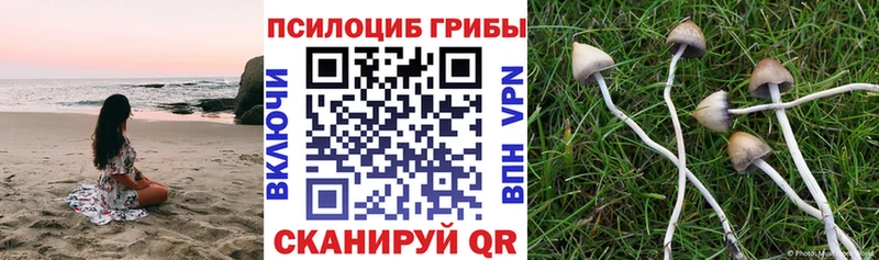 Галлюциногенные грибы Magic Shrooms  закладки  Тейково 