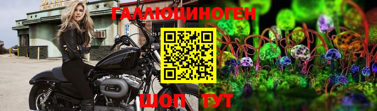 Галлюциногенные грибы Psilocybine cubensis Тейково